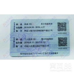 深圳 現代都市與多元體驗的完美融合